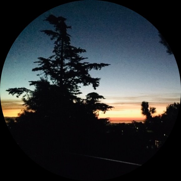 Hello! - Picture 1 of 1